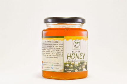 Clover Honey