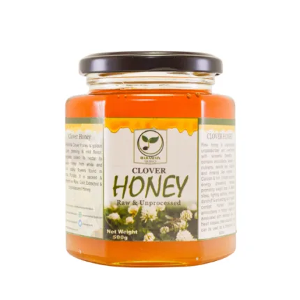 Clover Honey